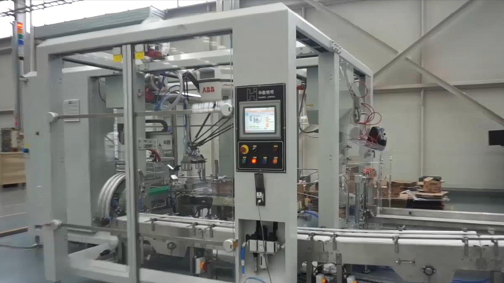 Automated Packaging Conveyor System - Image 3