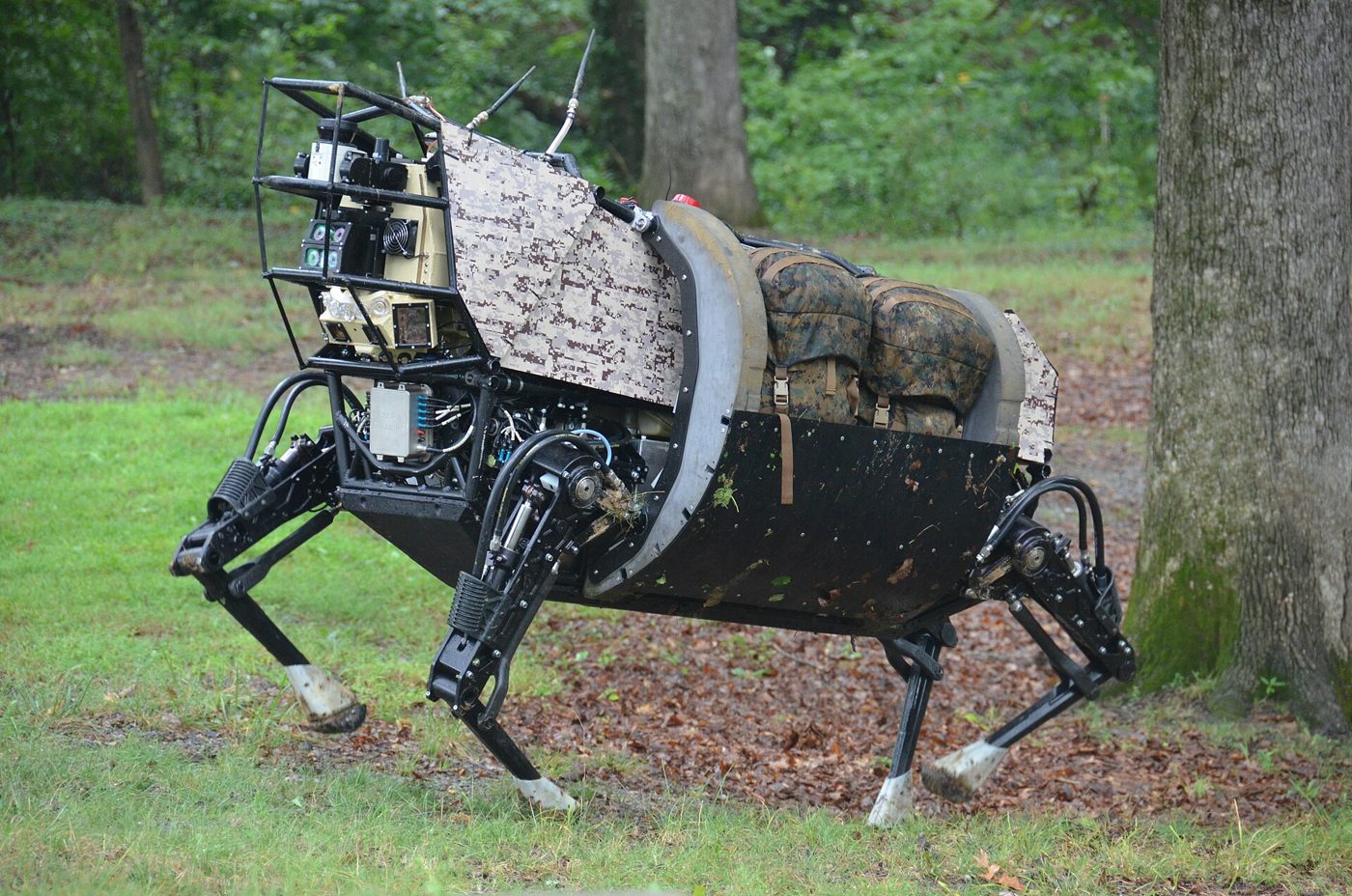 Quadruped Robots