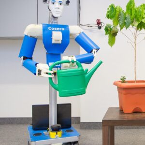 Service Robots
