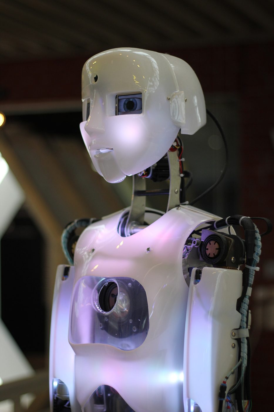 Humanoid Robots
