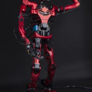 Humanoid Robots
