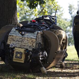 Quadruped Robots