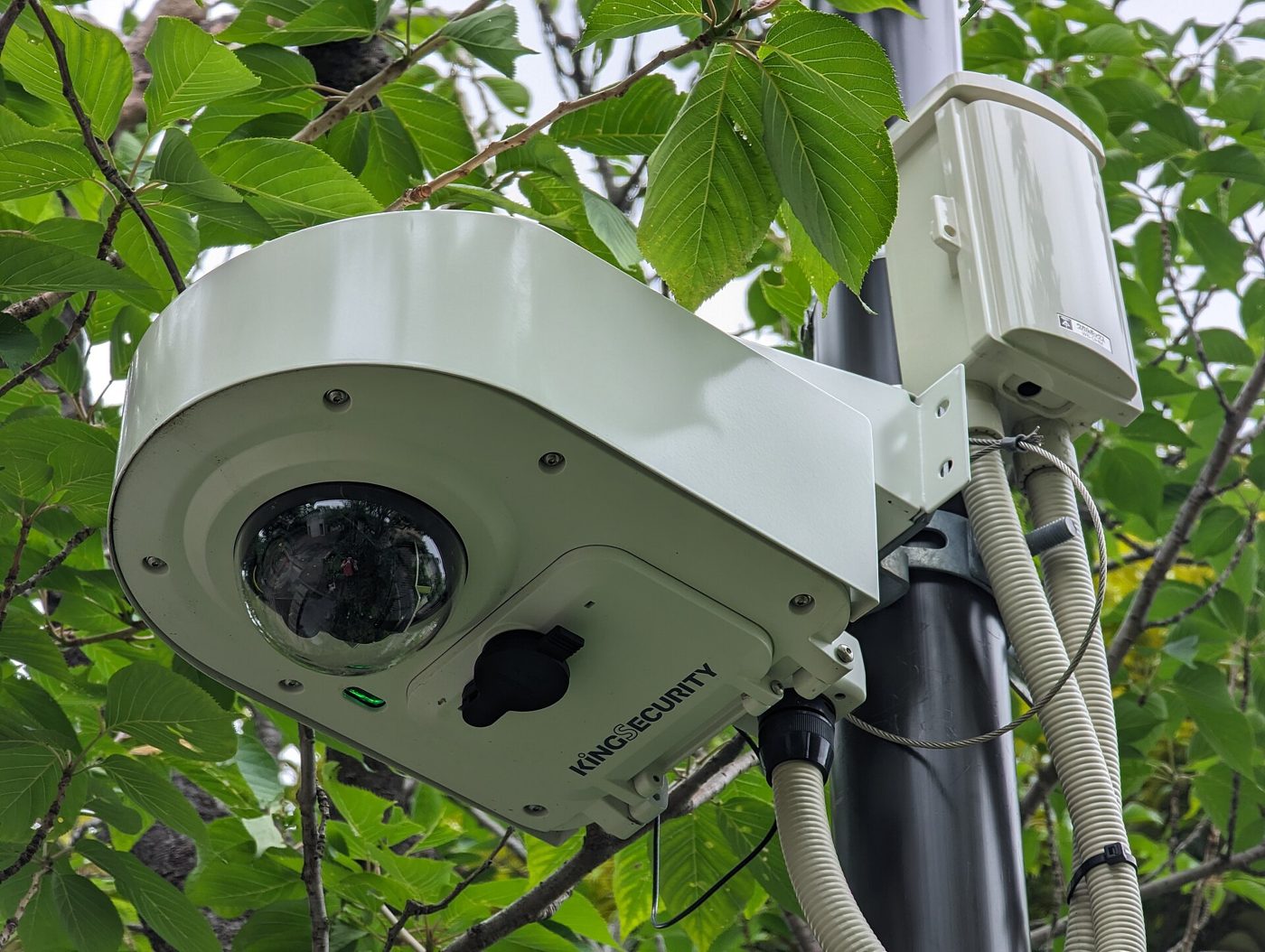Security Cameras