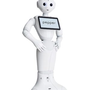 Service Robots
