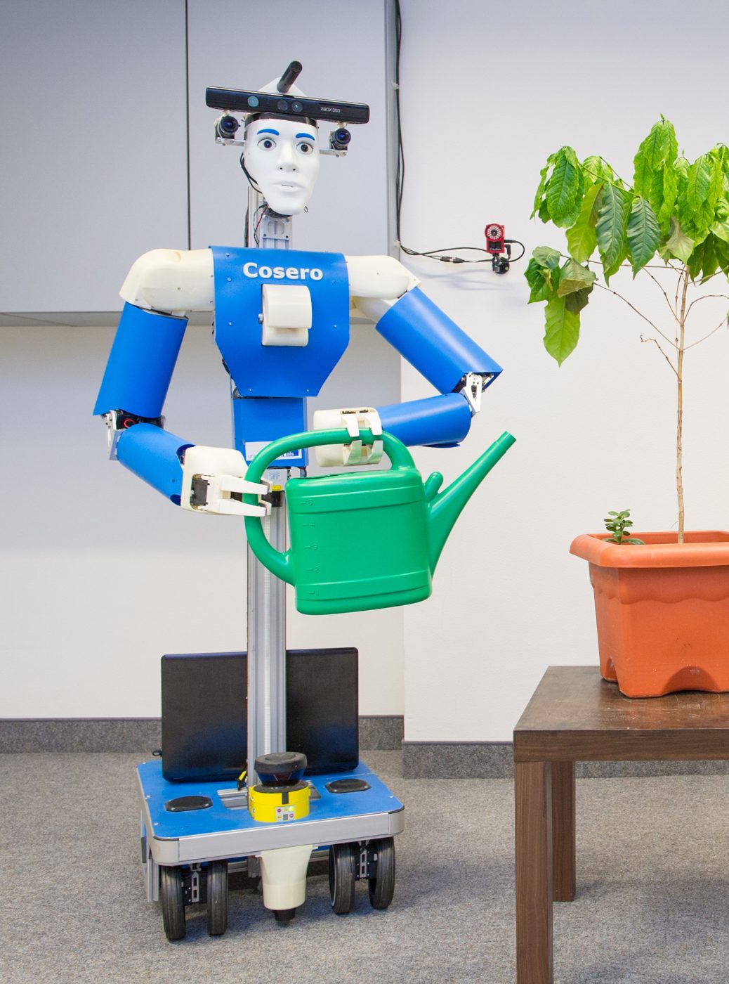 Humanoid Robots