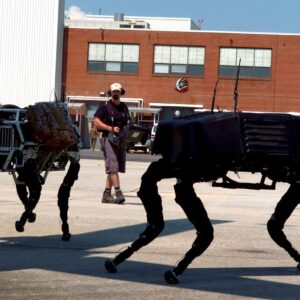 Quadruped Robots