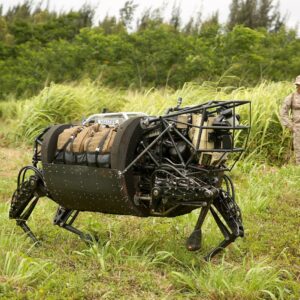 Quadruped Robots